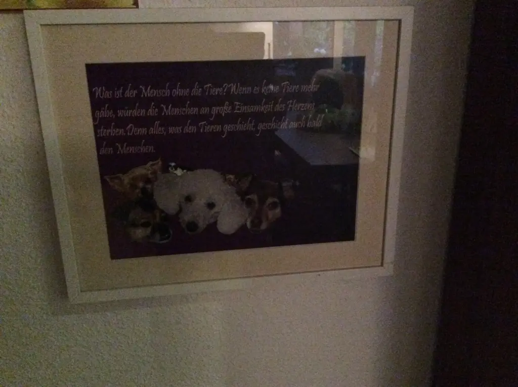 Condolence image of Heidi 