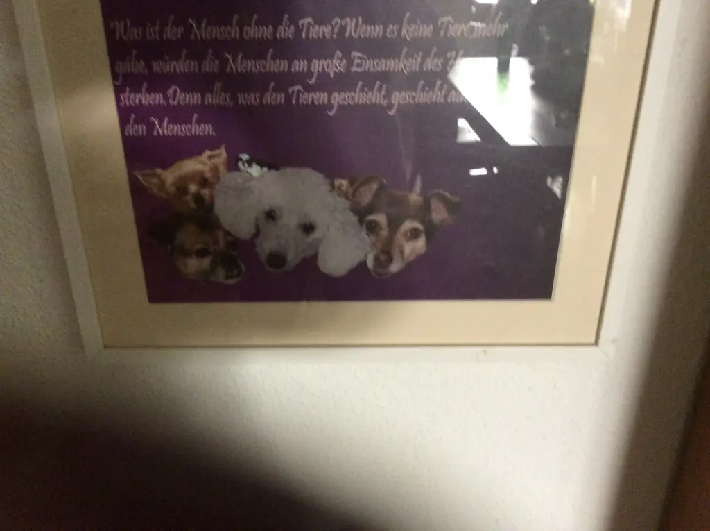Condolence image of Heidi