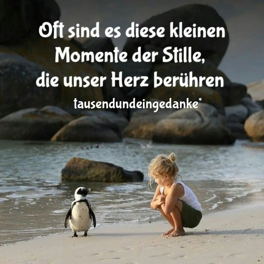 Condolence image of Ilse mit Tier-Sternlein Jule, Gismo, Fee und Minna im Herzen