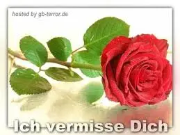 Condolence image of Jutta mit Purzel tief im Herzen ✟ 08.05.2016