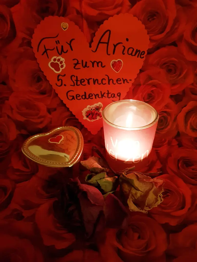 Condolence image of Ilse mit Tier-Sternlein Jule, Gismo, Fee und Minna im Herzen