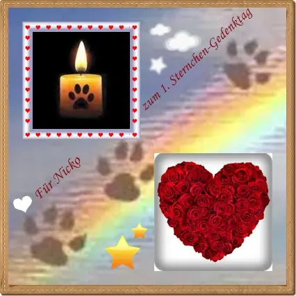 Condolence image of Ilse mit Tier-Sternlein Jule, Gismo, Fee und Minna im Herzen