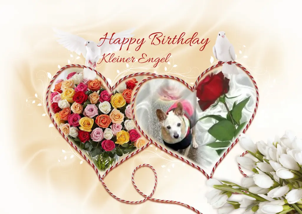 Condolence image of ❤❤❤❤Alles Gute zu deinem 16. Geburtstag❤❤❤❤