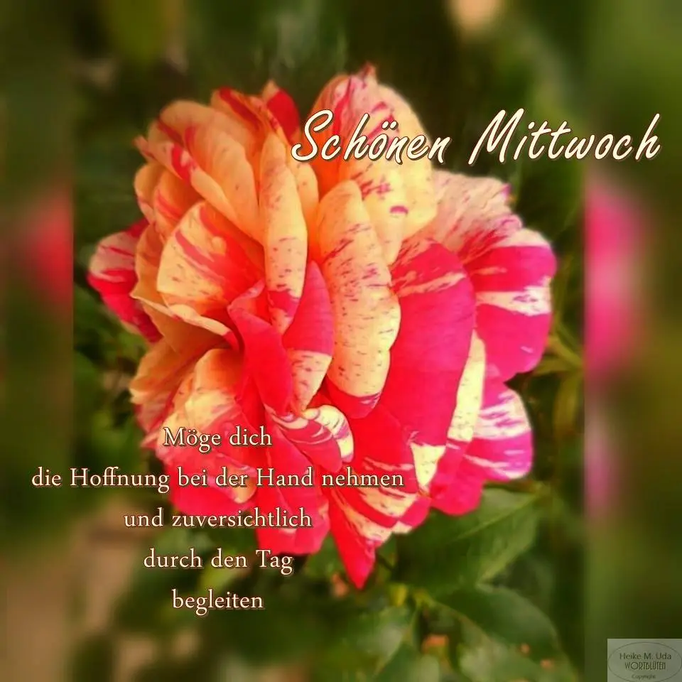 Condolence image of Jutta mit Purzel tief im Herzen ✟ 08.05.2016