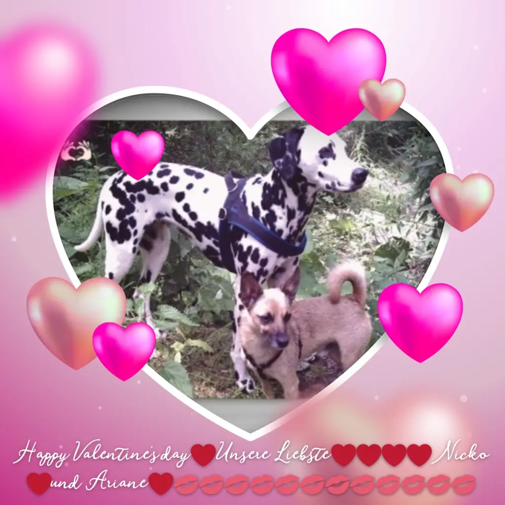 Condolence image of ❤️NICKO❤️ARIANE❤️