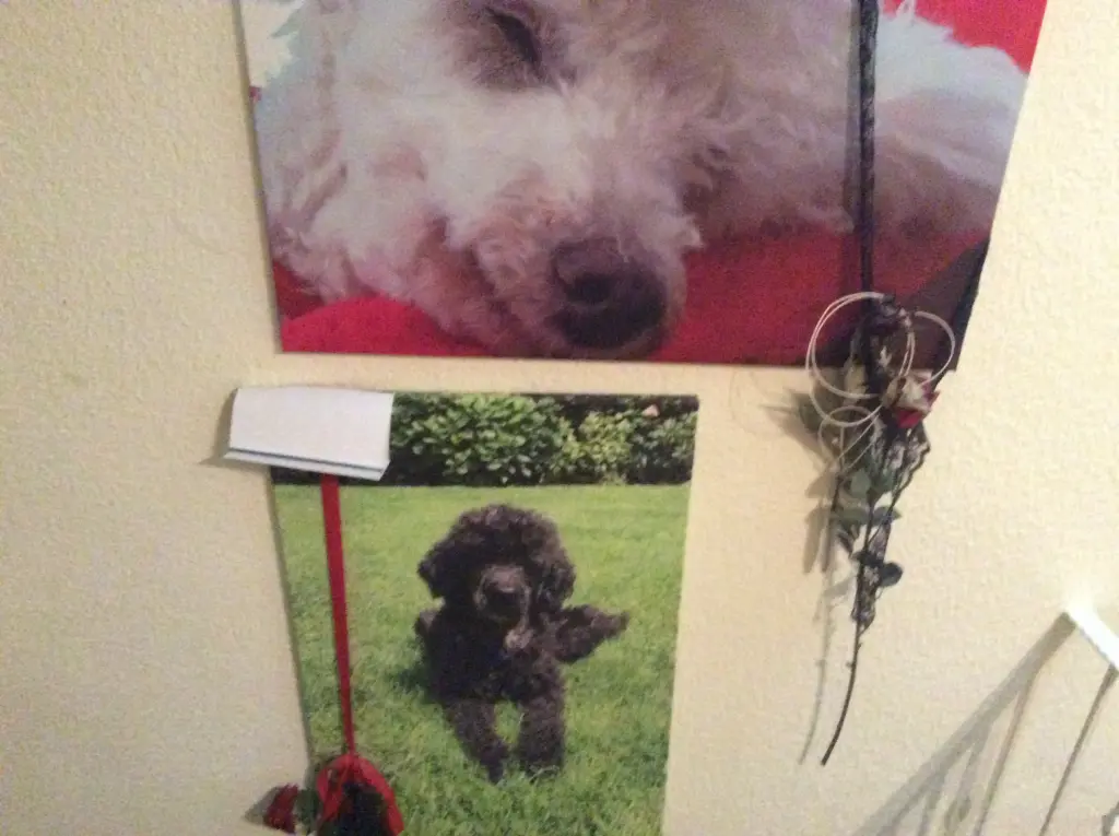 Condolence image of Heidi
