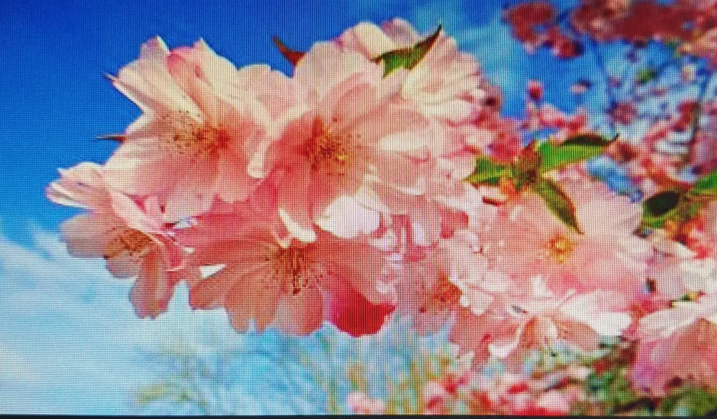 Condolence image of Ein lieber Gruß zum Wochenende♥♥