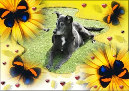 Condolence image of Unbekannt