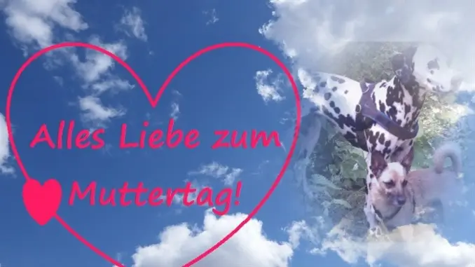 Condolence image of ❤️❤️❤️Fur Mama❤️❤️❤️