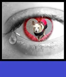 Condolence image of ❤️2.Sternchen❤️Gedenktag❤️❤️