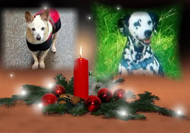 Condolence image of ❤️1.Advent❤️