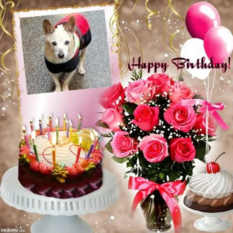 Condolence image of ❤️❤️❤️17.GEBURTSTAG❤️❤️❤️