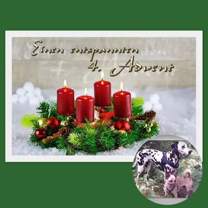 Condolence image of ❤️4. Advent❤️❤️❤️❤️