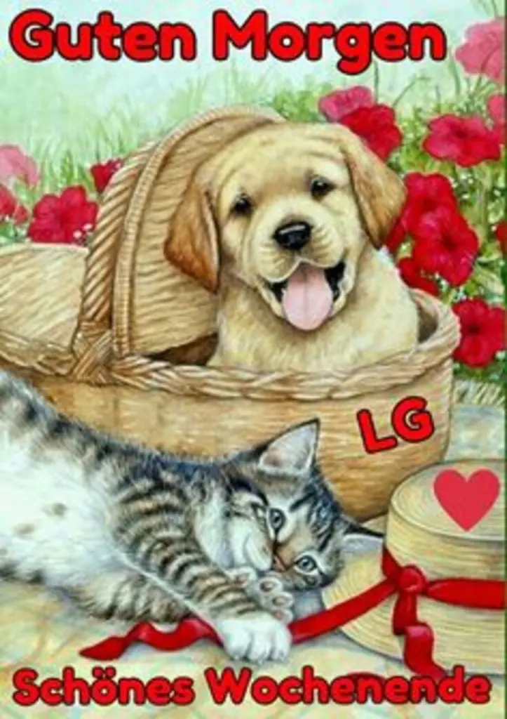Condolence image of Tanja mit Timmy im Herzen