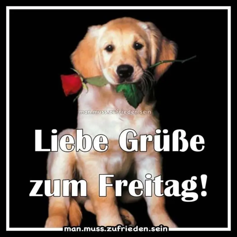Condolence image of Tanja mit Timmy im Herzen