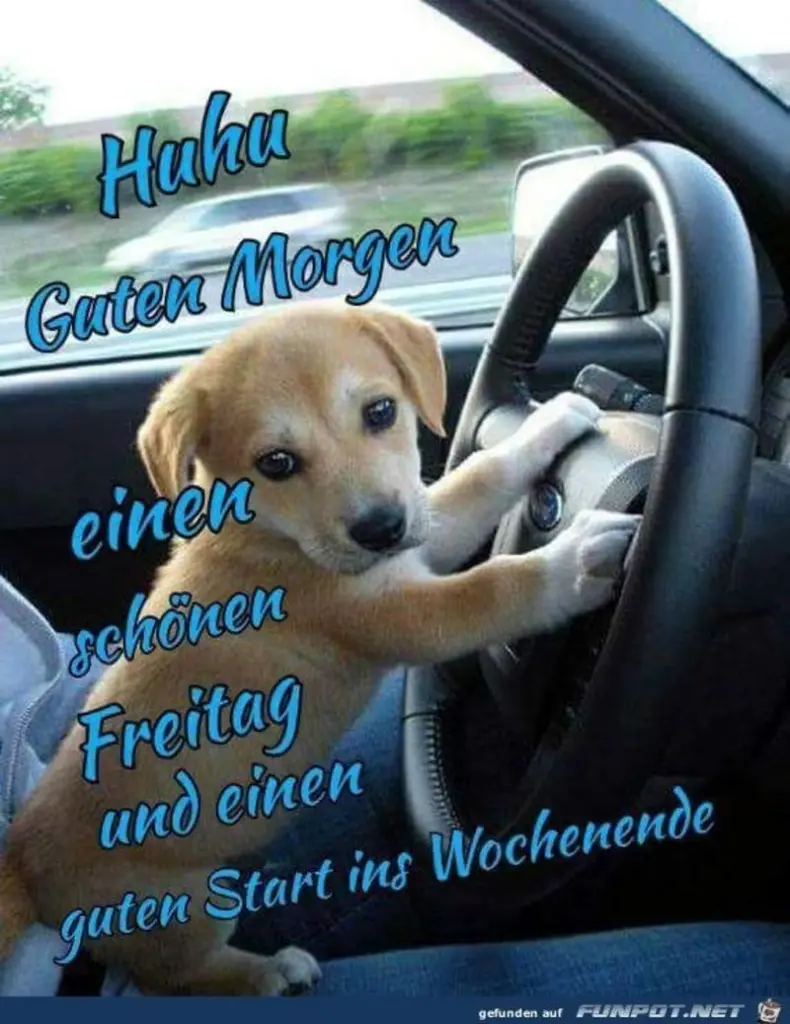 Condolence image of Tanja mit Timmy im Herzen