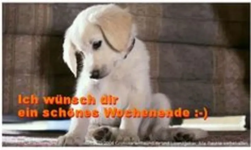 Condolence image of Tanja mit Timmy im Herzen