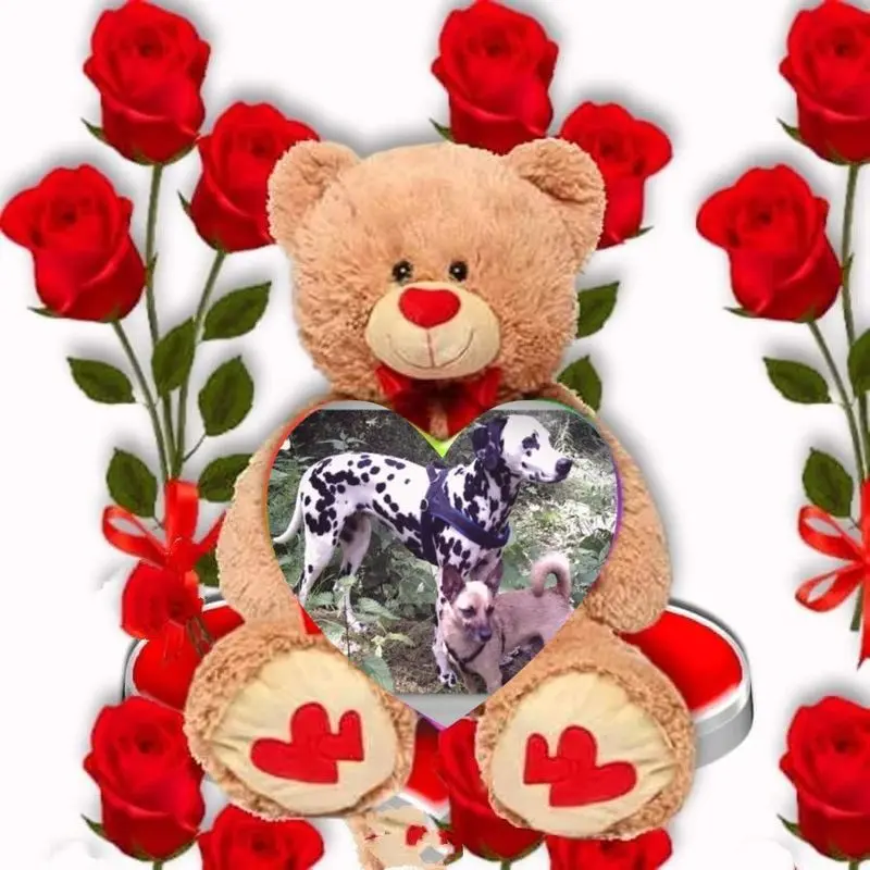 Condolence image of ❤️❤️❤️❤️❤️❤️❤️❤️❤️❤️❤️❤️❤️❤️
