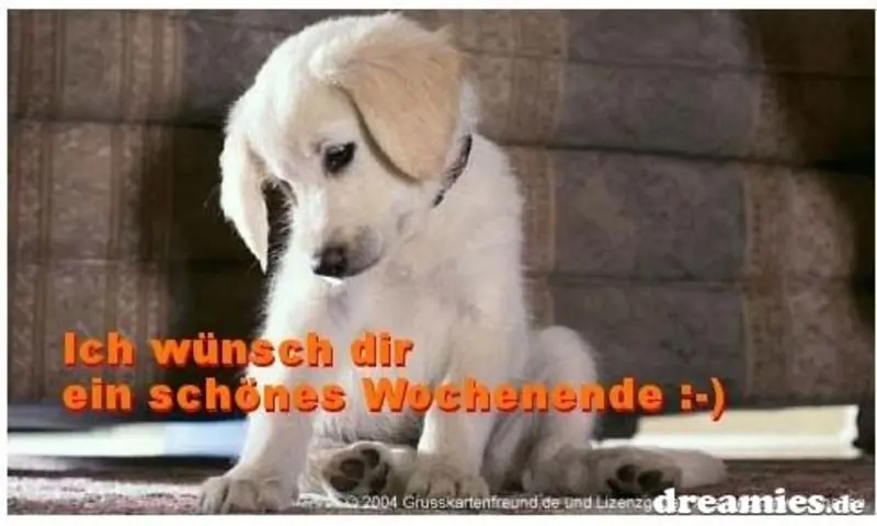 Condolence image of Tanja mit Timmy im Herzen