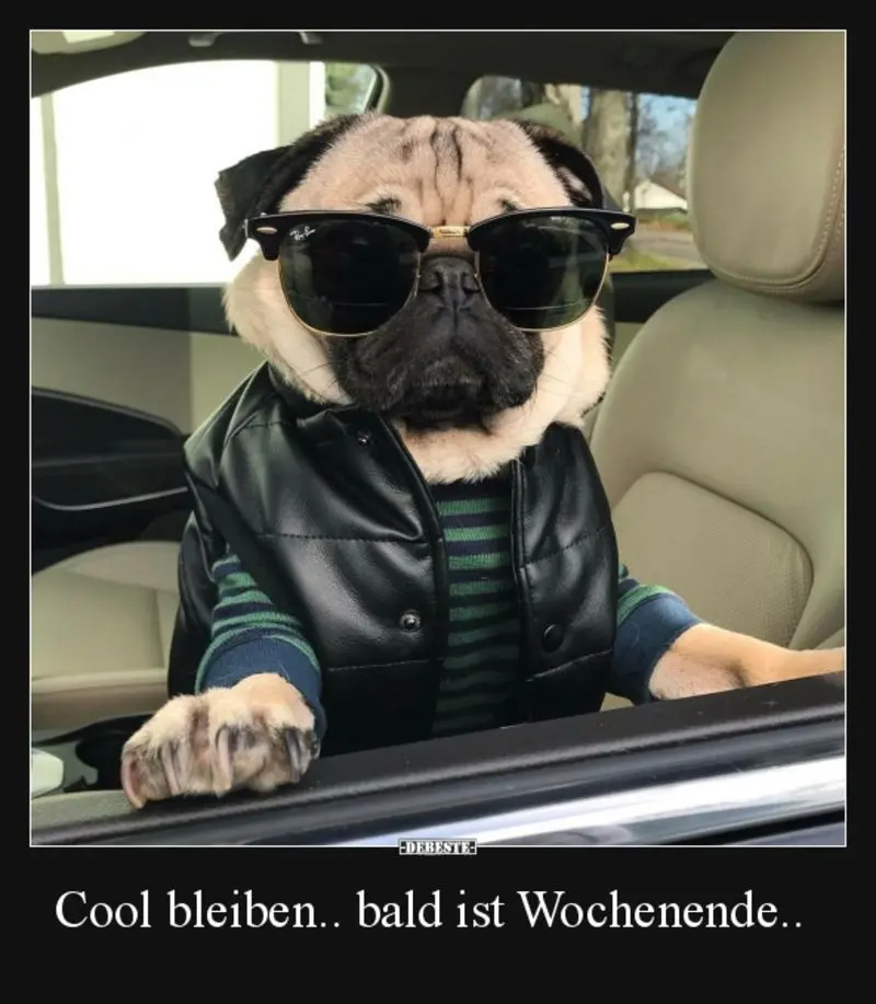 Condolence image of Tanja mit Timmy im Herzen