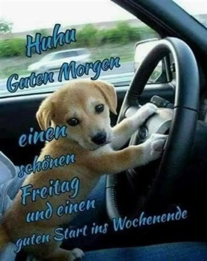 Condolence image of Tanja mit Timmy im Herzen