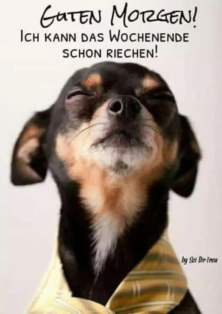 Condolence image of Tanja mit Timmy im Herzen