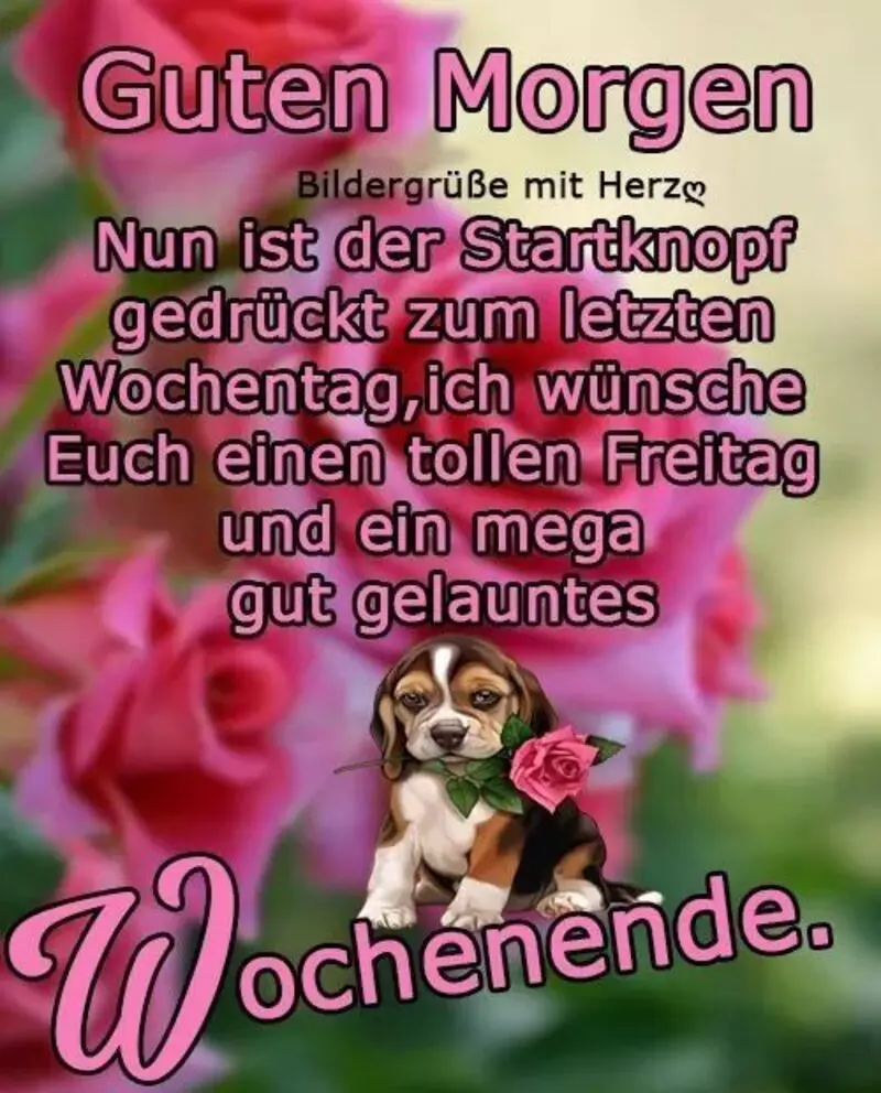 Condolence image of Tanja mit Timmy im Herzen