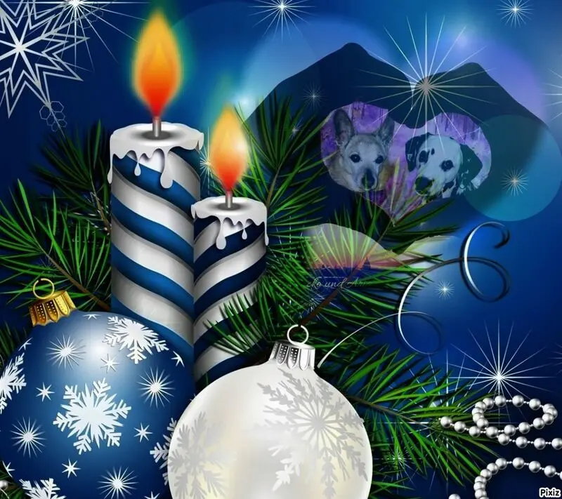 Condolence image of Tanja mit Timmy im Herzen 