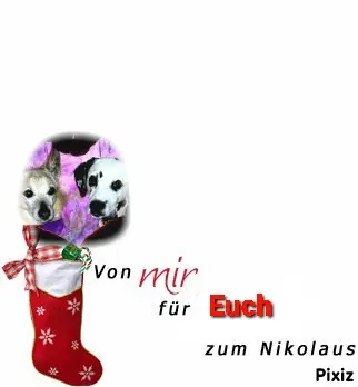 Condolence image of Tanja mit Timmy im Herzen