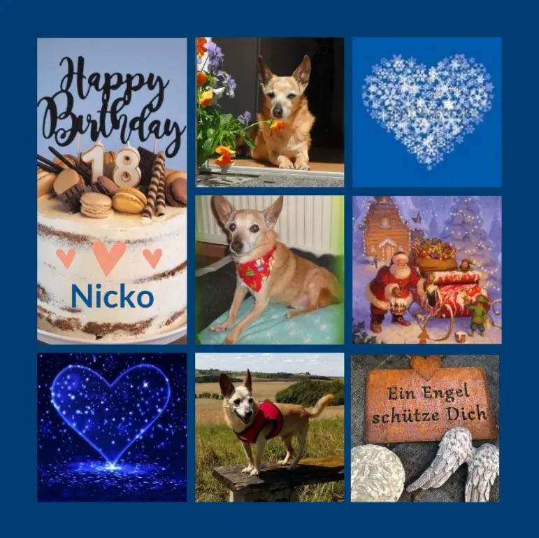 Condolence image of Ein Sternenstrauß zum 18. Geburtstag für Nicko