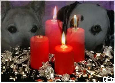 Condolence image of Tanja mit Timmy im Herzen