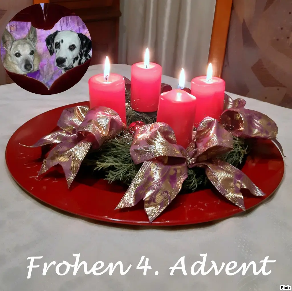 Condolence image of Tanja mit Timmy im Herzen
