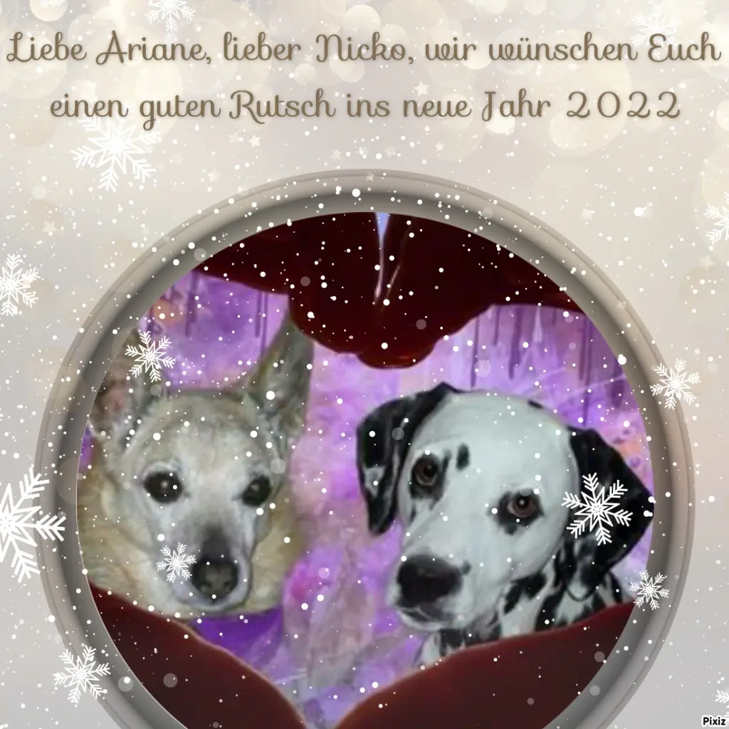 Condolence image of Tanja mit Timmy im Herzen
