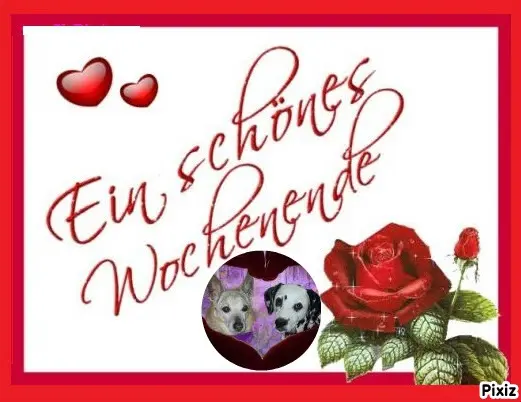Condolence image of Tanja mit Timmy im Herzen