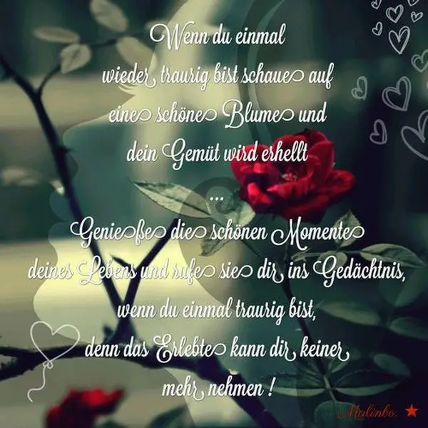 Condolence image of Brigitte mit Nelly, Benny und Axel im Herzen