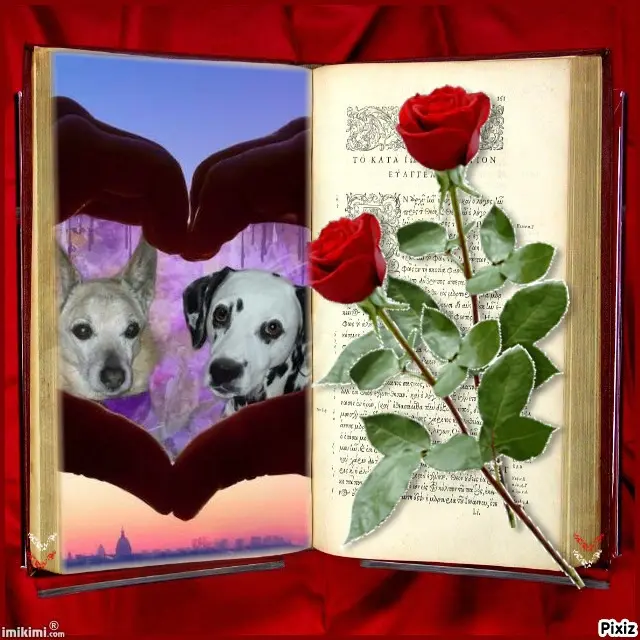 Condolence image of Tanja mit Timmy im Herzen