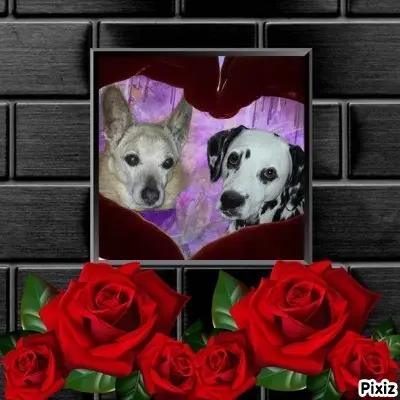 Condolence image of Tanja mit Timmy im Herzen