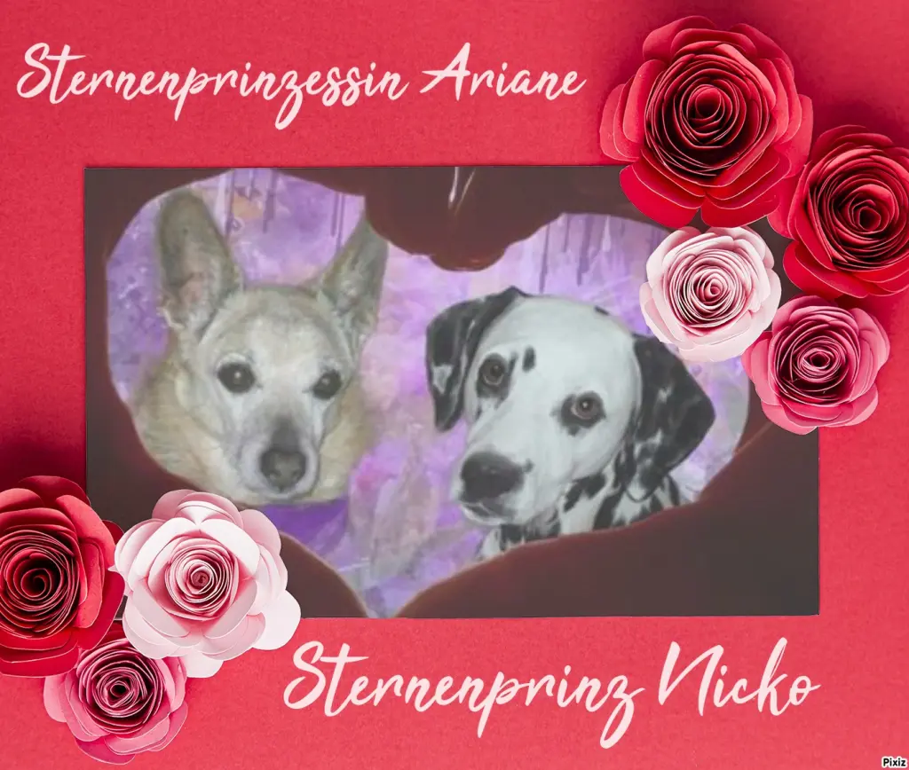 Condolence image of Tanja mit Timmy im Herzen