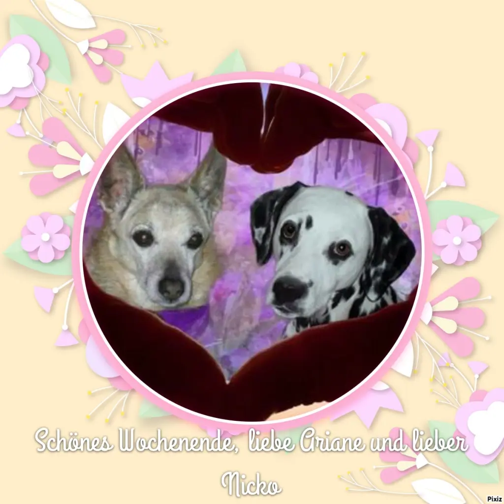 Condolence image of Tanja mit Timmy im Herzen