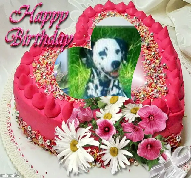 Condolence image of 20. Geburtstag❤️❤️❤️❤️❤️❤️❤️❤️❤️❤️❤️❤️❤️❤️❤️❤️❤️❤️❤️❤️