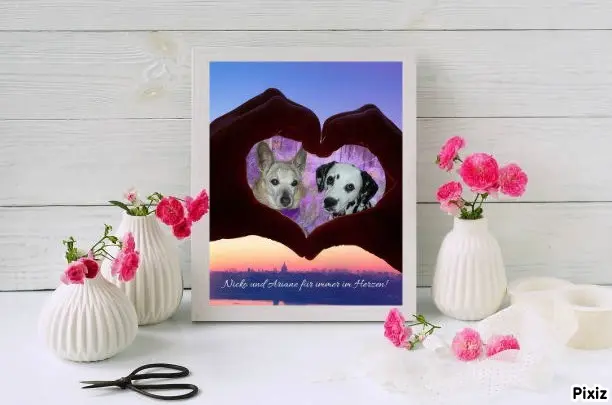 Condolence image of Tanja mit Timmy im Herzen
