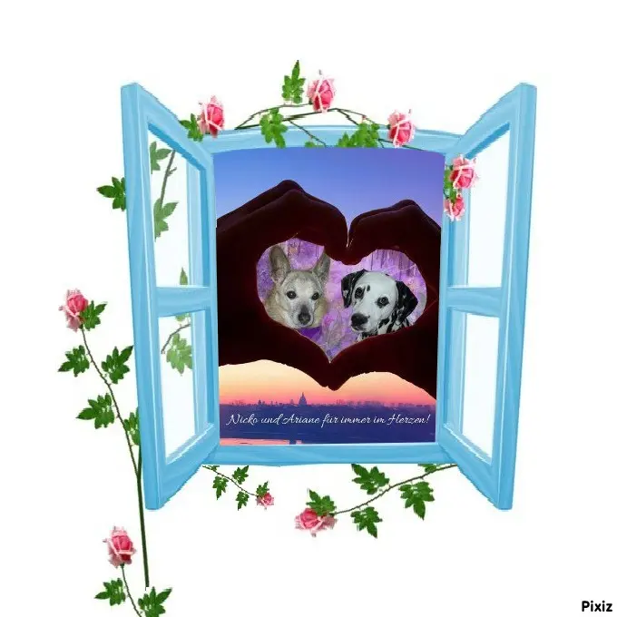 Condolence image of Tanja mit Timmy im Herzen