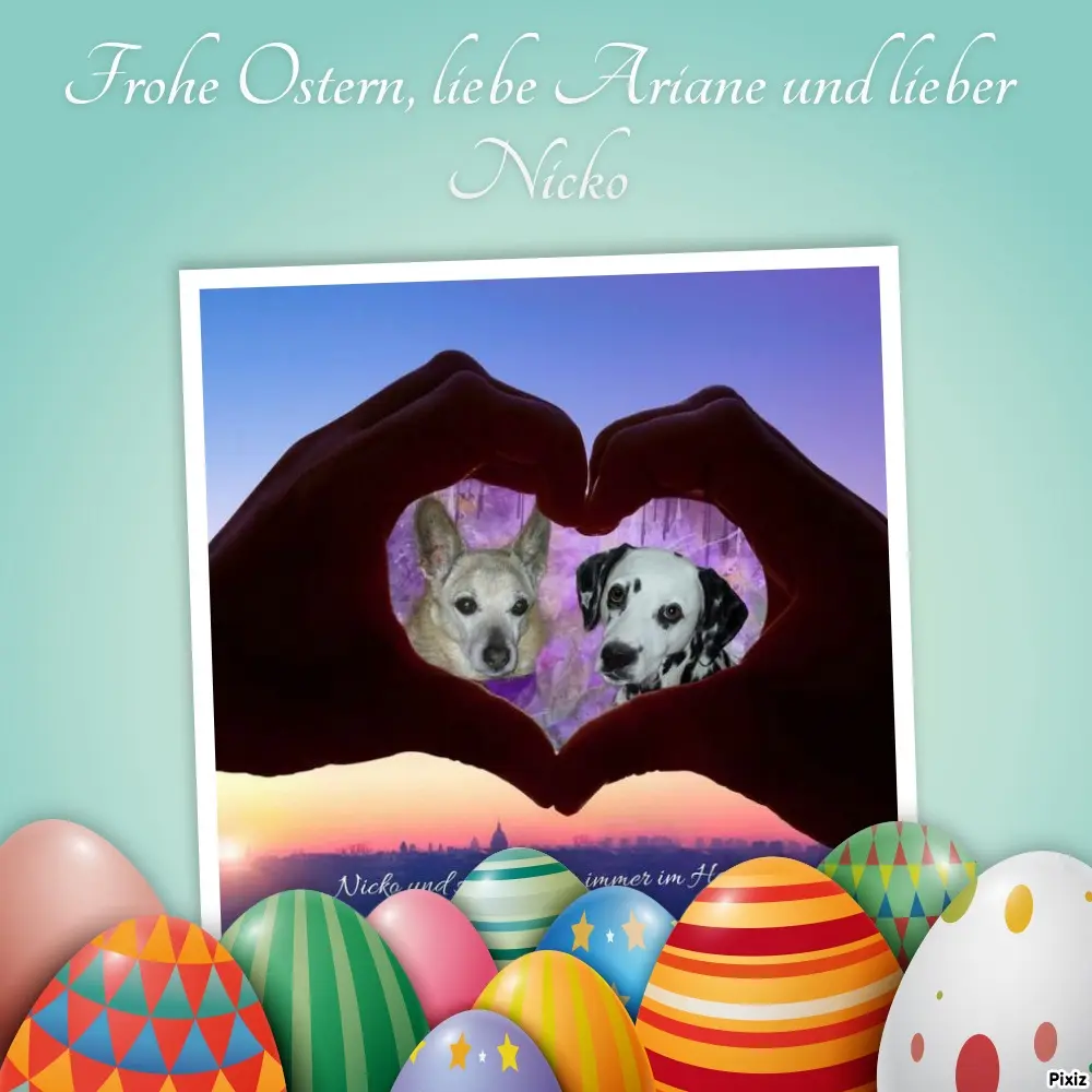 Condolence image of Tanja mit Timmy im Herzen