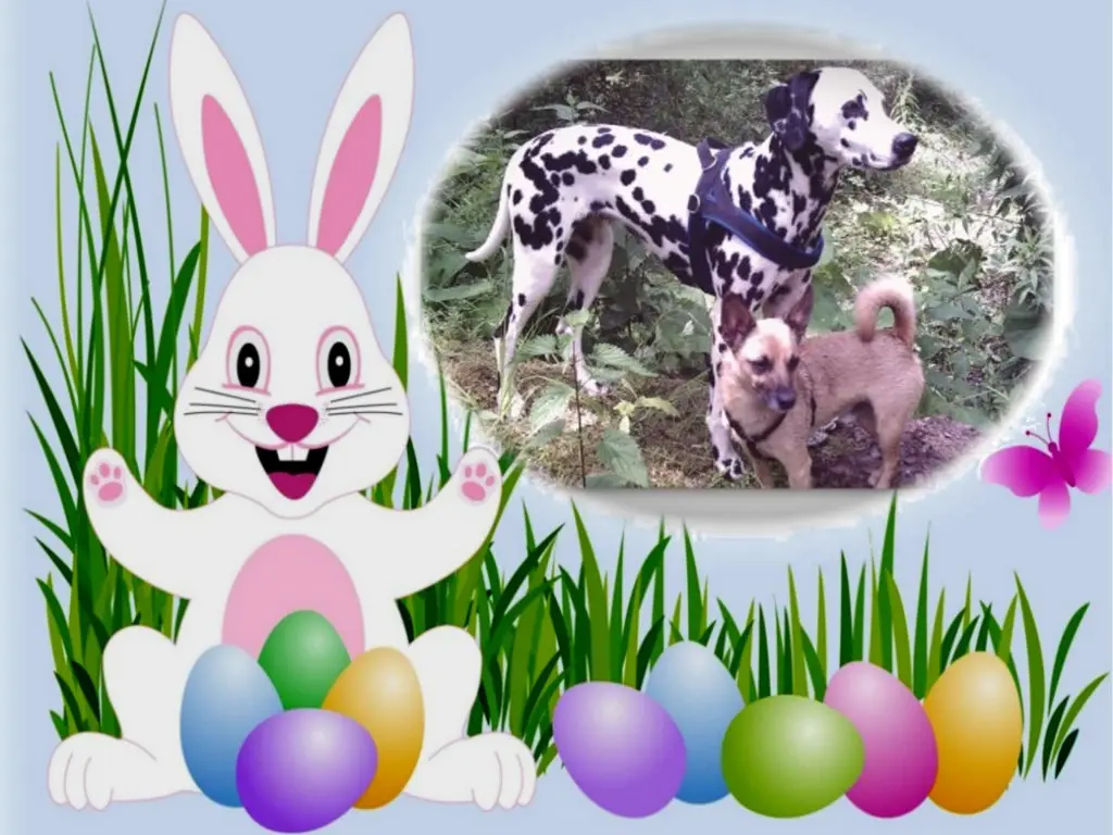 Condolence image of Frohe❤️❤️❤️Ostern❤️