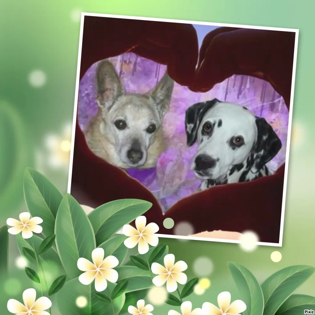 Condolence image of Tanja mit Timmy im Herzen