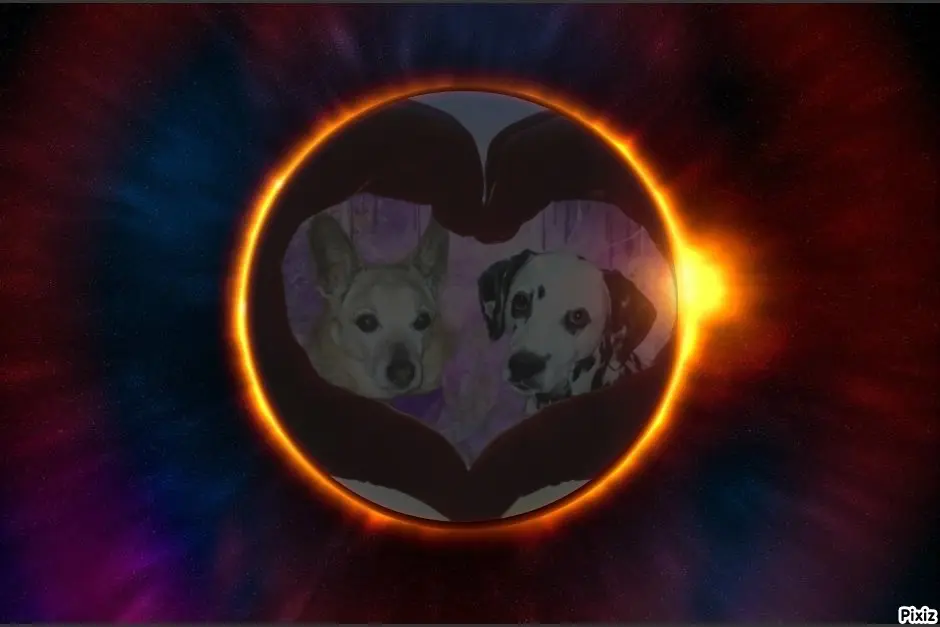 Condolence image of Tanja mit Timmy im Herzen