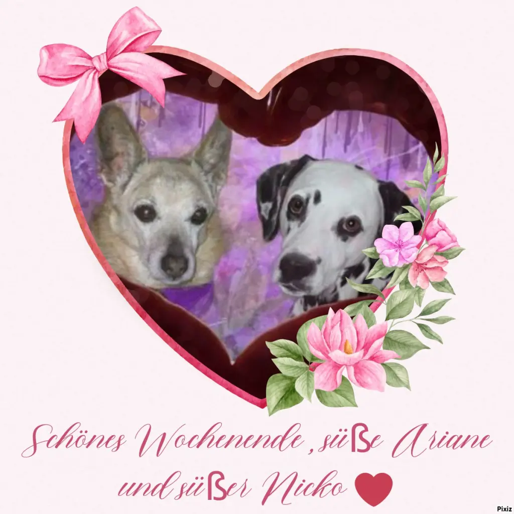 Condolence image of Tanja mit Timmy im Herzen