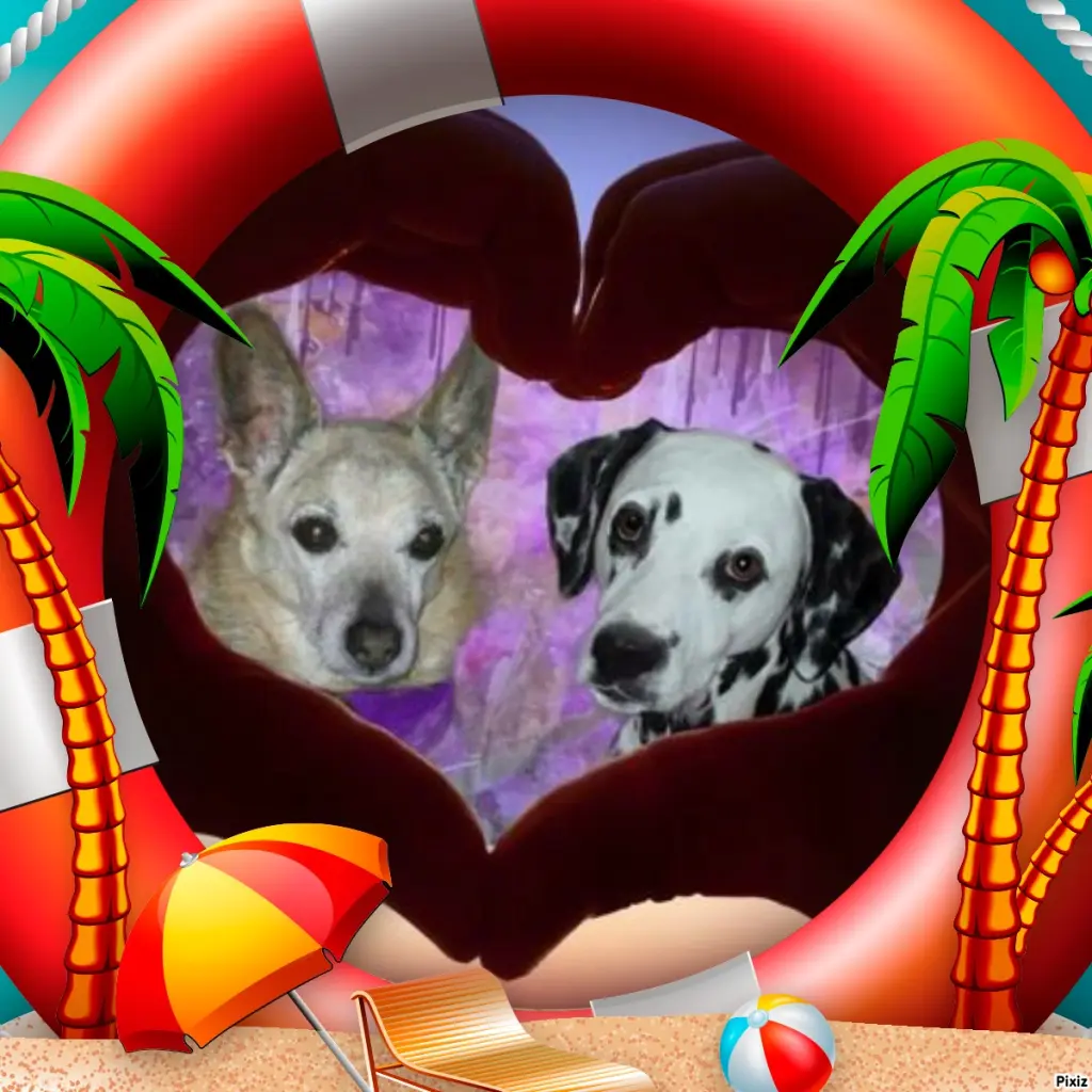 Condolence image of Tanja mit Timmy im Herzen