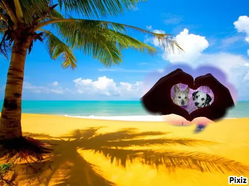 Condolence image of Tanja mit Timmy im Herzen 