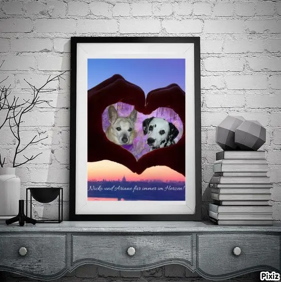 Condolence image of Tanja mit Timmy im Herzen 